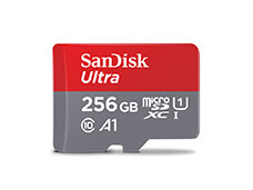 SanDisk Micro Card 256GB TF Card